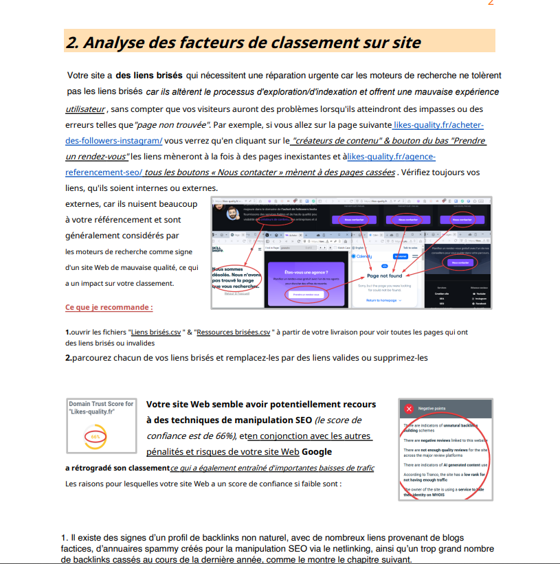 Rapport SEO